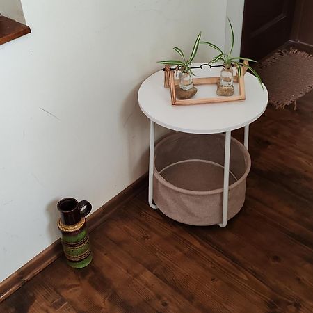 Arthouse Lucrezia Hotell Timişoara Exteriör bild