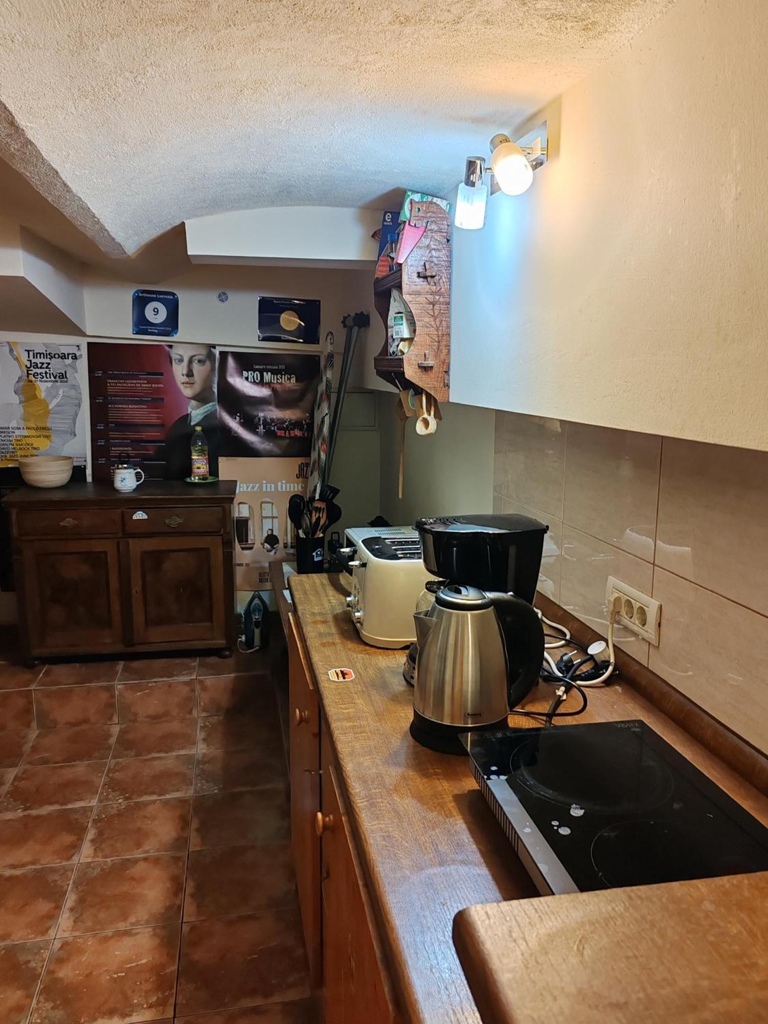 Arthouse Lucrezia Hotell Timişoara Exteriör bild