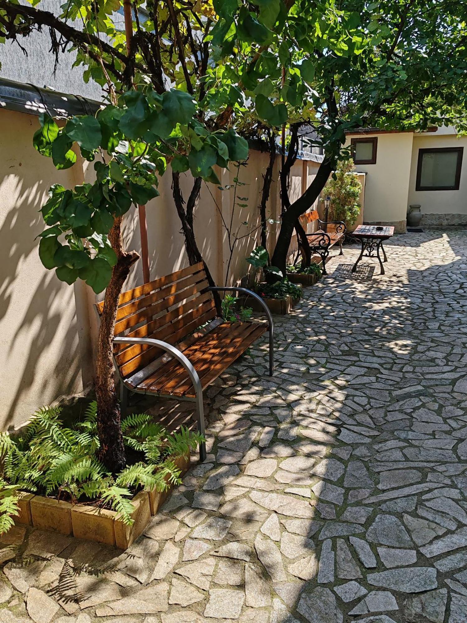 Arthouse Lucrezia Hotell Timişoara Exteriör bild