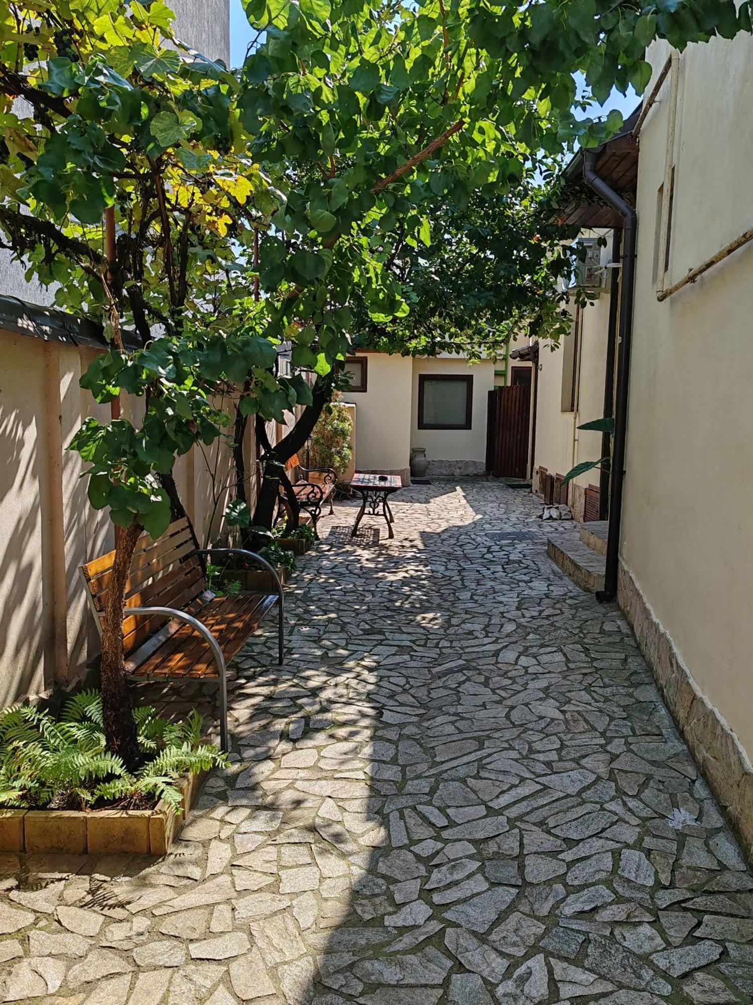 Arthouse Lucrezia Hotell Timişoara Exteriör bild